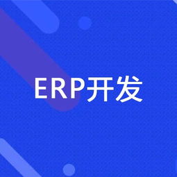 郑州erp系统再开发的风险 erp开发